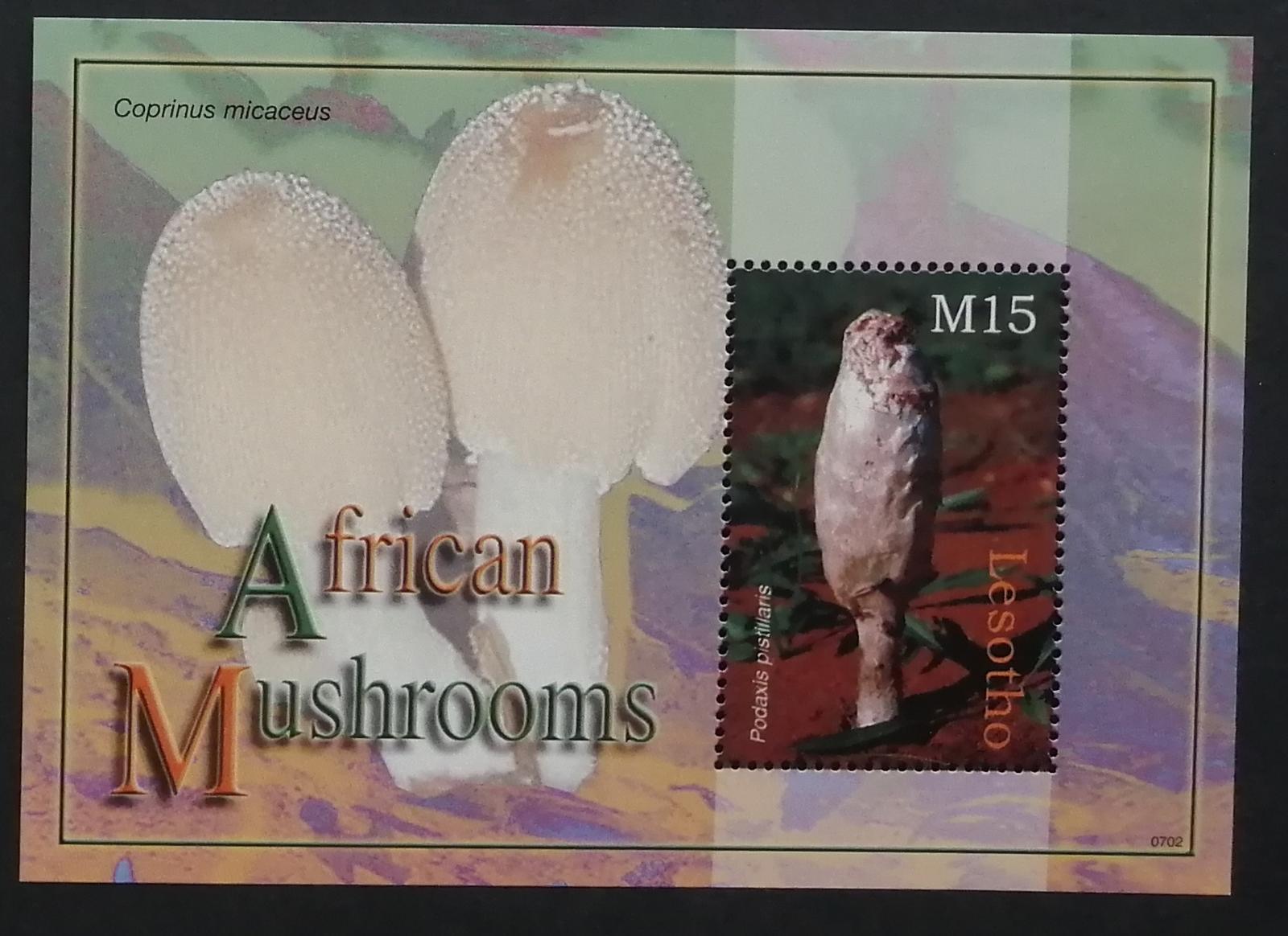 Lesotho 2007 Bl.211 4,5€ Houby Jižní Afriky, flora, mykologie
