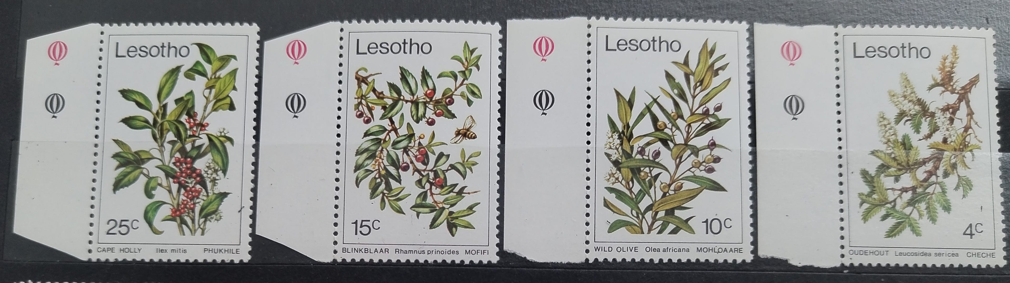 Lesotho 1979 Cesmíny a stromy, Flora