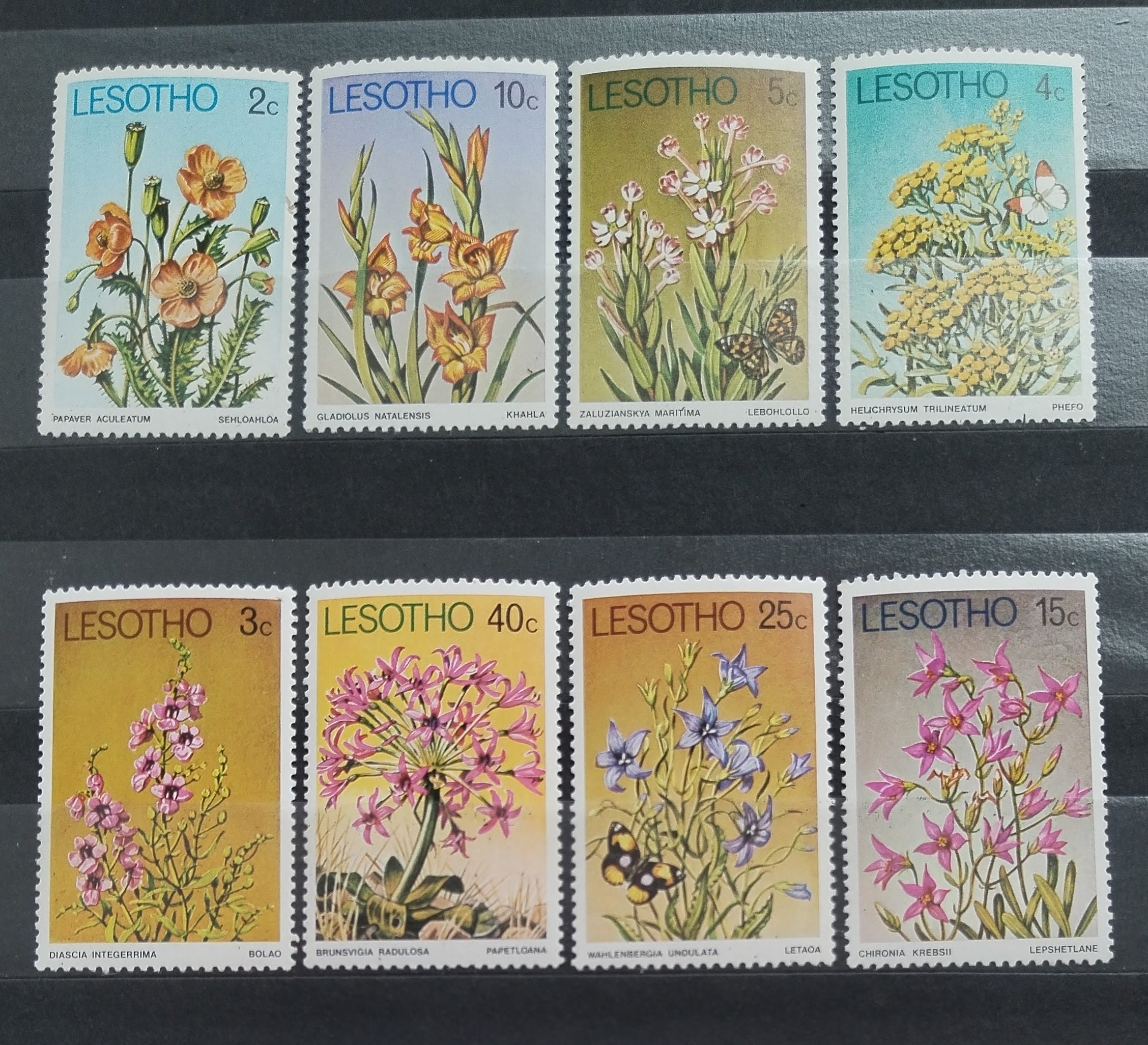 Lesotho 1978 Květiny a flora Jižní Afriky