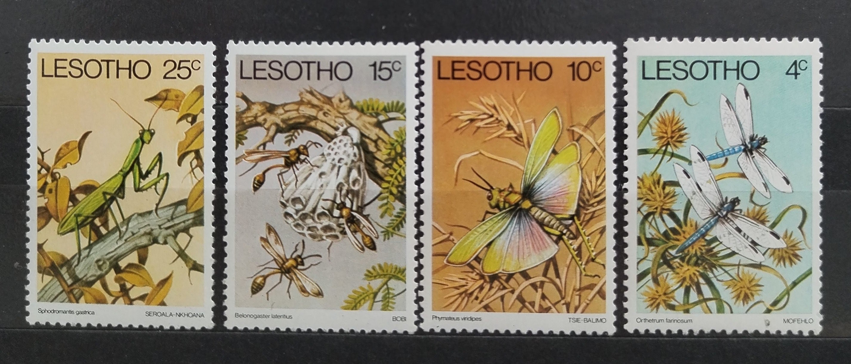 Lesotho 1978 Hmyz Afriky