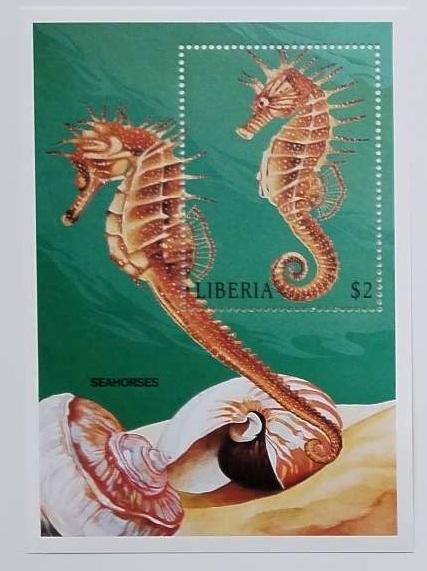 Libérie 1998 Bl.170 6€ Mořská fauna, koník, koně