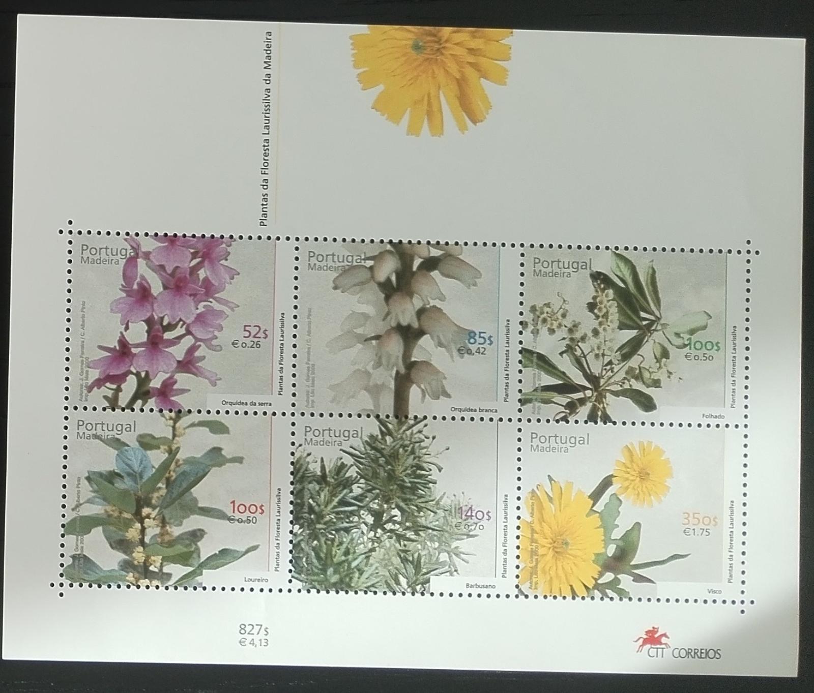 Madeira 2000 Ostrovní flora a květiny