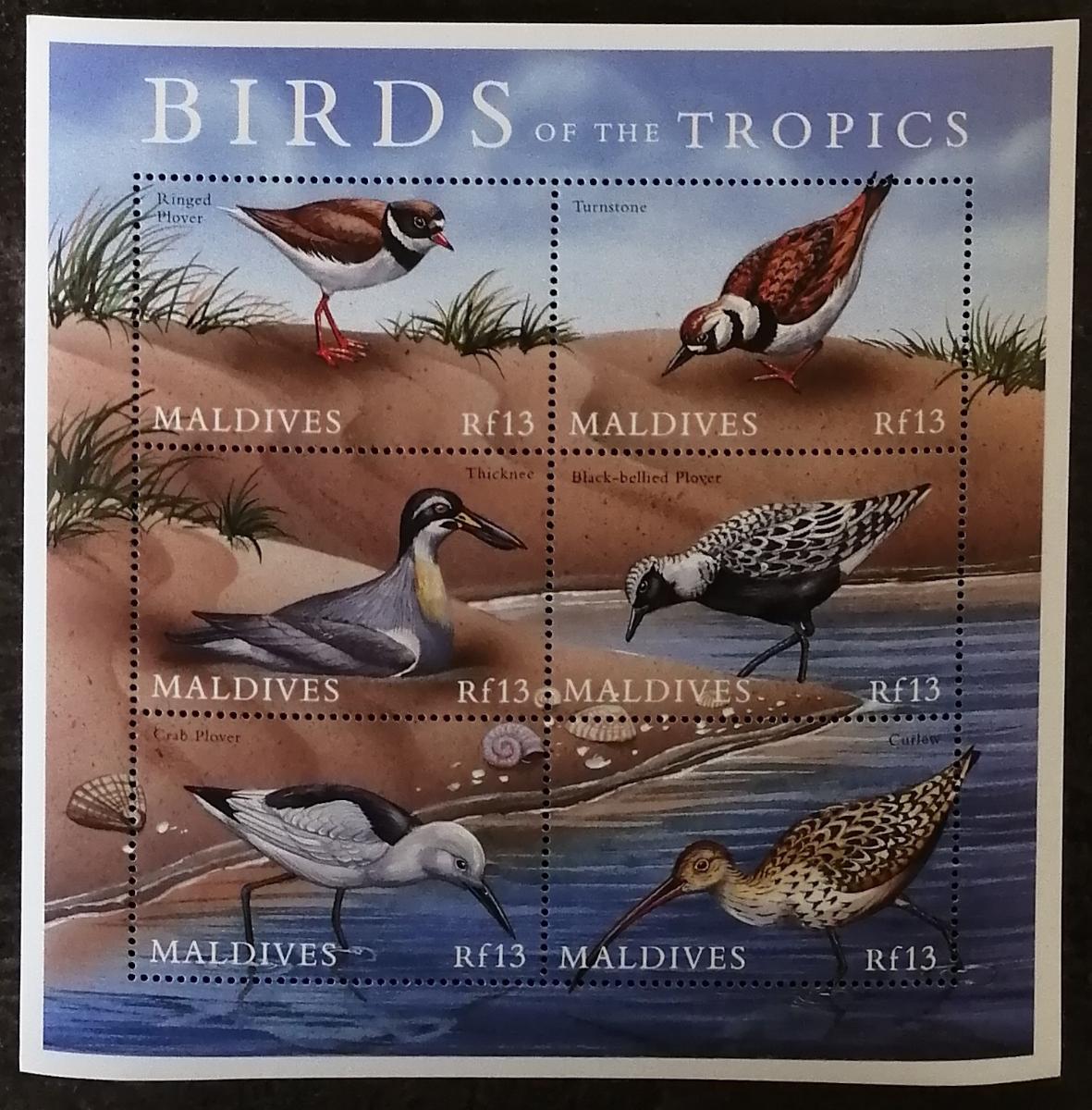 Maledivy 2000 21€ Ptáci tropů a Indického oceánů, Fauna III.