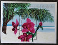 Maledivy 2000 Bl.459 7€ Orchideje a květiny, Spathoglottis plicata