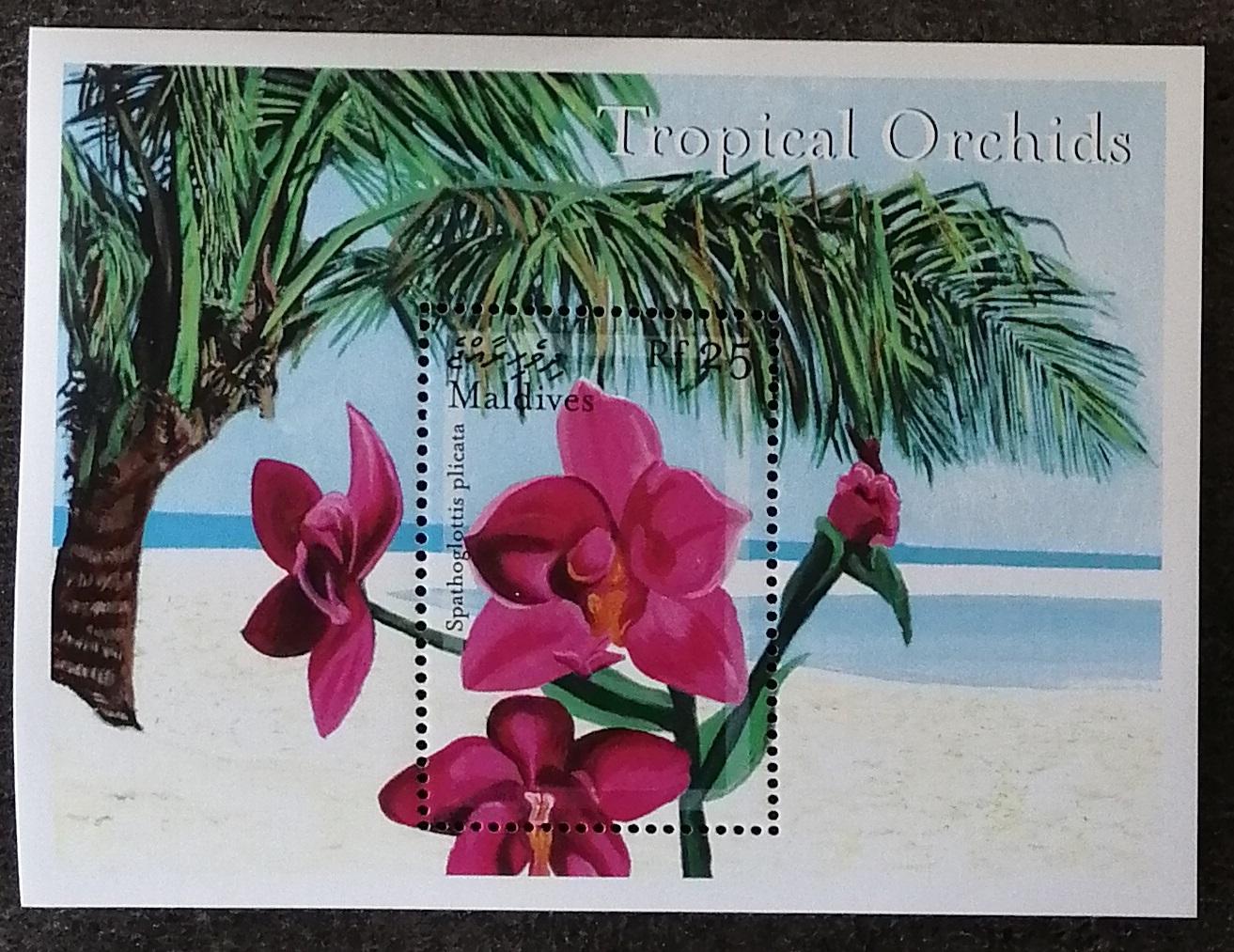 Maledivy 2000 Bl.459 7€ Orchideje a květiny, Spathoglottis plicata