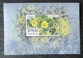 Maledivy 2007 Bl.611 5€ Flora a květiny Asie, Encelia farinosa