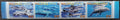 Maledivy 2009 Mi.4768-1 5,2€ WWF a národní fauna, Delfíni a ryby