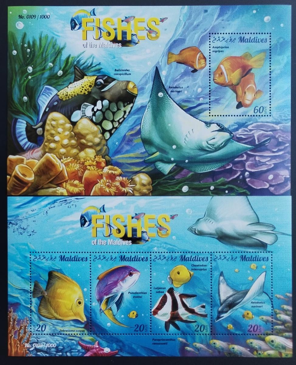 Maledivy 2015 Ryby a mořská fauna ostrovů - korálové ryby a manty