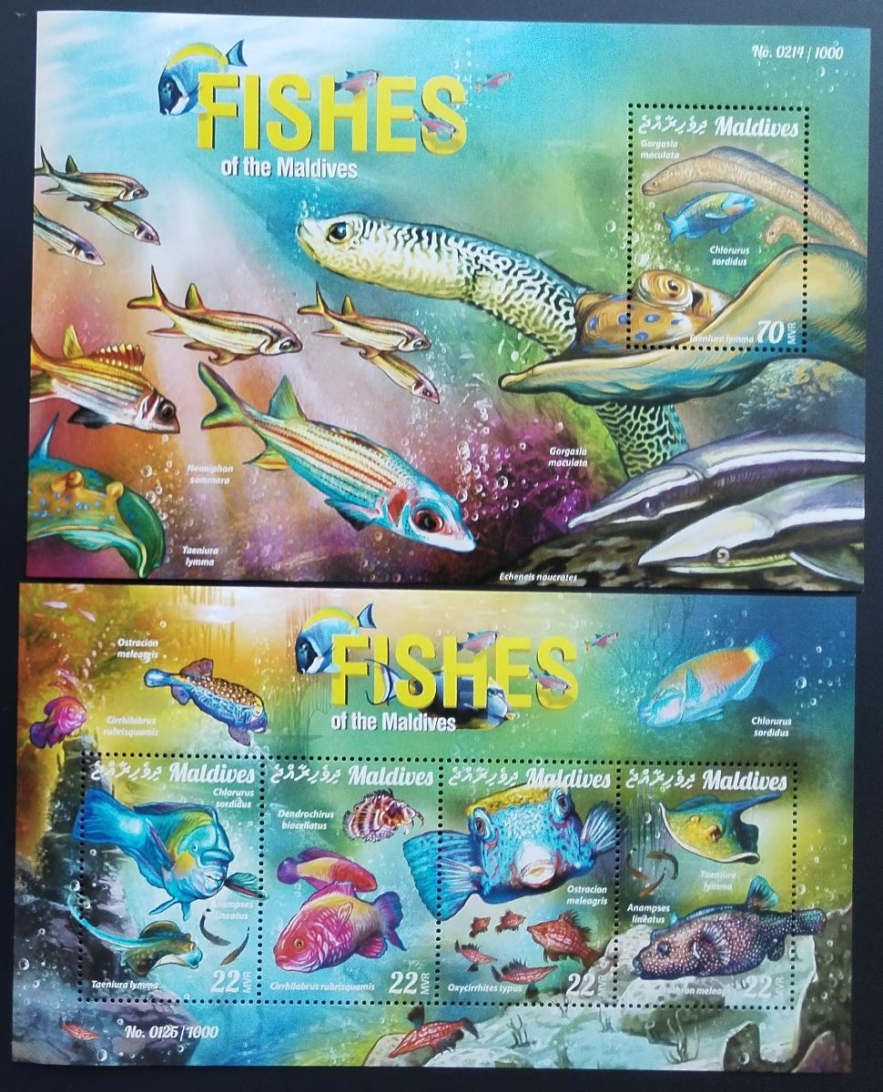 Maledivy 2015 Ryby a mořská fauna ostrovů - korálové ryby I.