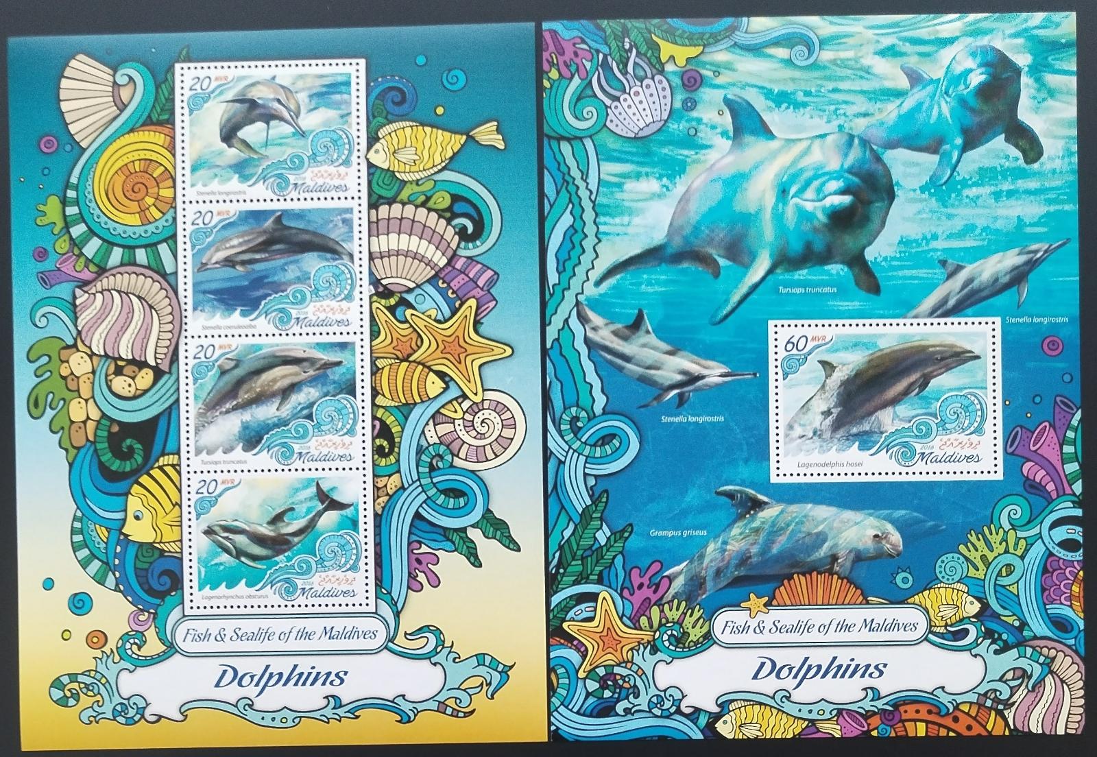 Maledivy 2016 Ryby a mořská fauna: Delfíni