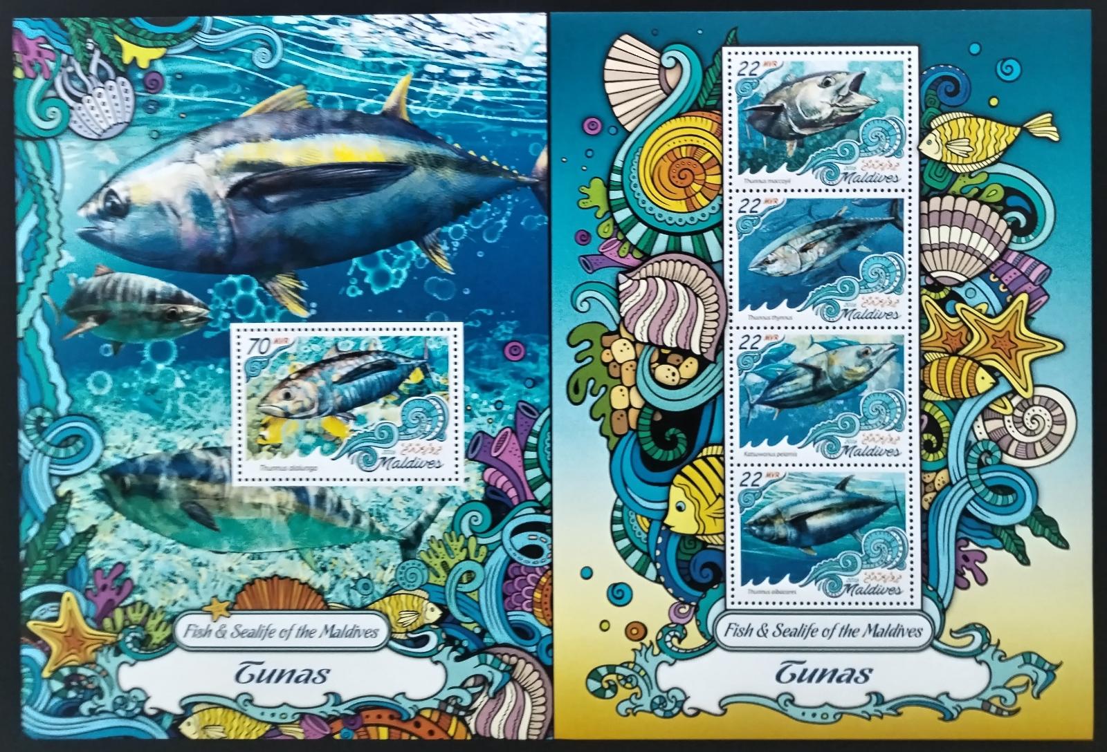 Maledivy 2016 Ryby a mořská fauna: Tuňáci