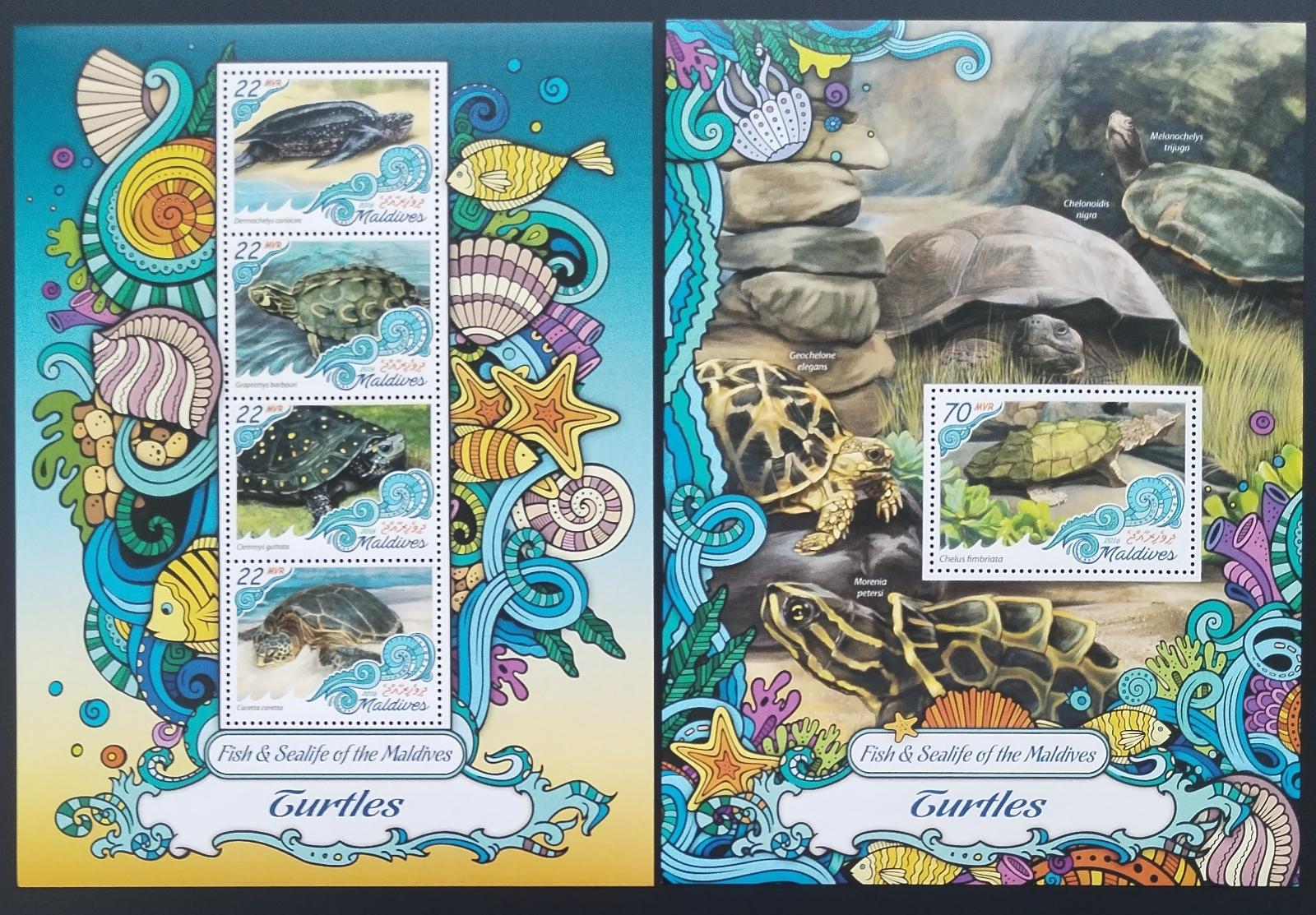 Maledivy 2016 Ryby a mořská fauna: Želvy a plazi