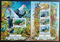 Maledivy 2017 Fauna ostrovů: Hrdličky a holubi, Ptáci