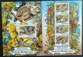 Maledivy 2017 Fauna ostrovů: Sovy a houby, Ptáci a flora