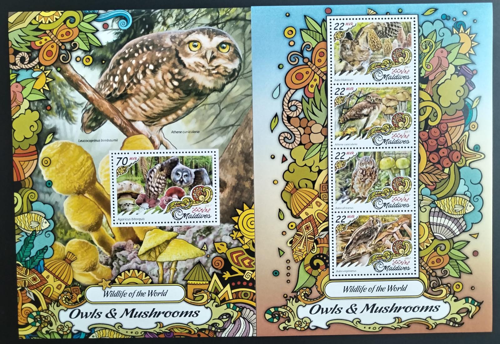 Maledivy 2017 Fauna ostrovů: Sovy a houby, Ptáci a flora