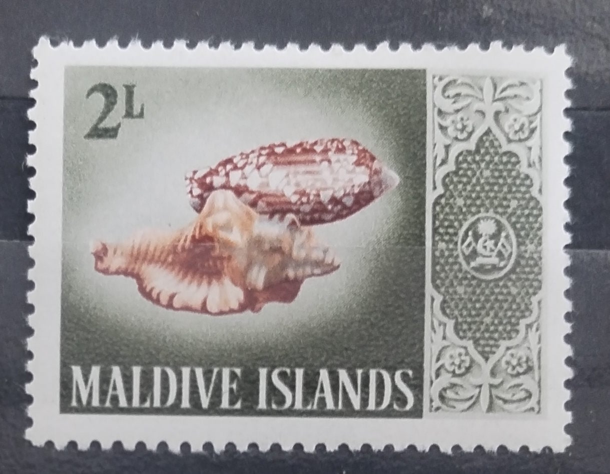 Maledivy 1966 Hodnota 2L - Mušle a škeble