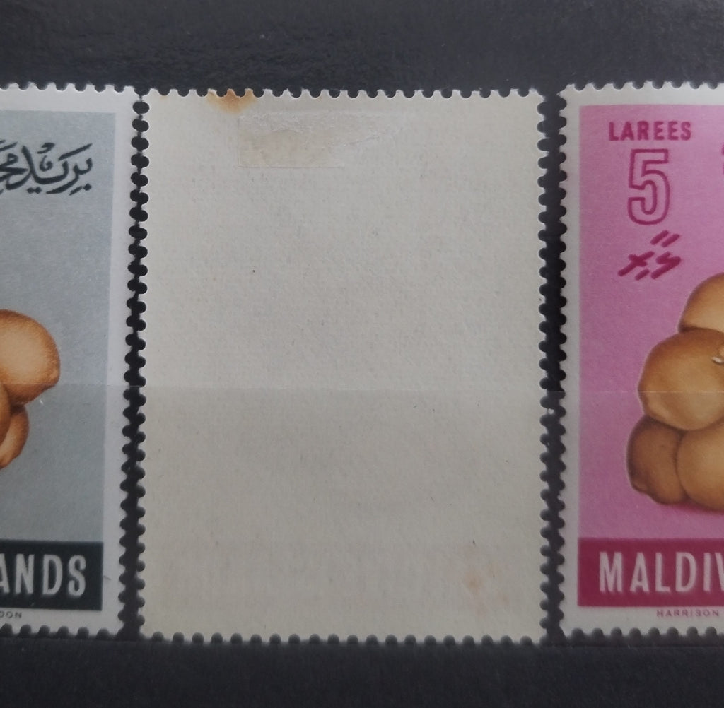 Maledivy 1961 Palmy a mapy Malé, Flora