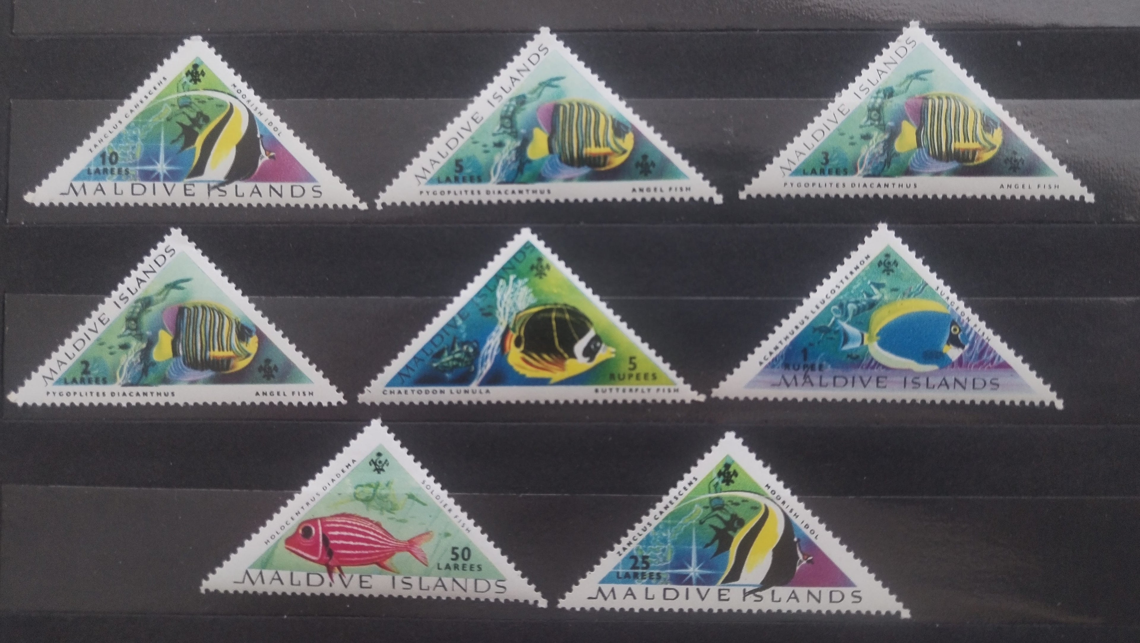 Maledivy 1963 Ryby a fauna moře