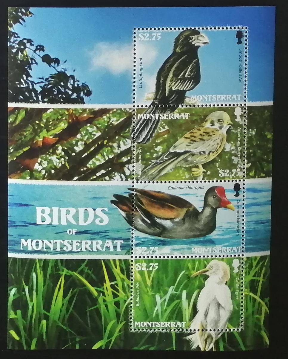Montserrat 2009 Mi.1461-4 9,5€ Ptáci ostrova, fauna Karibiku