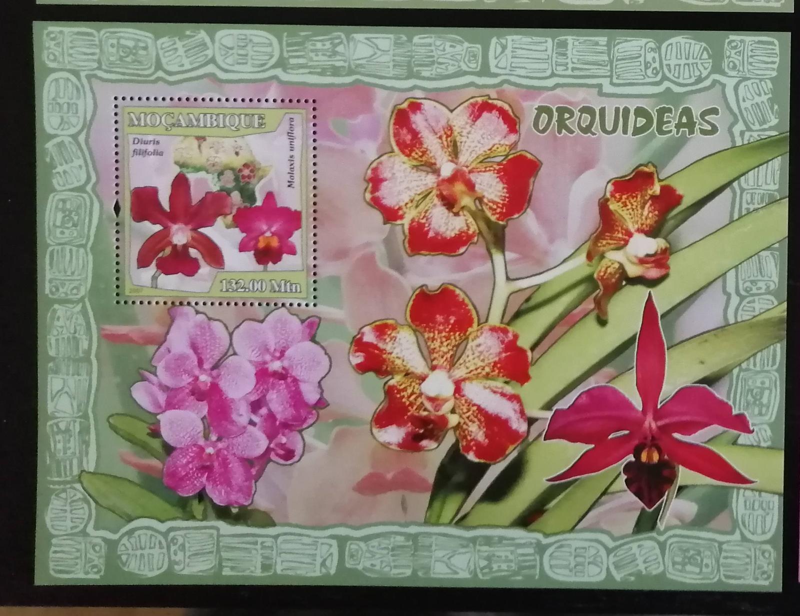 Mozambik 2007 Bl.212 10€ - Africké orchideje a květiny, flora země