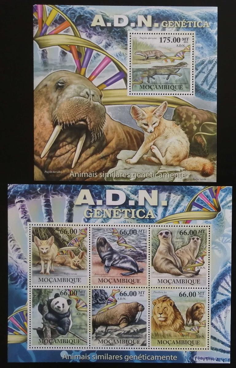 Mozambik 2011 Mi.5330-5+Bl.565 23€ - Podobné geny zvířat, fauna světa