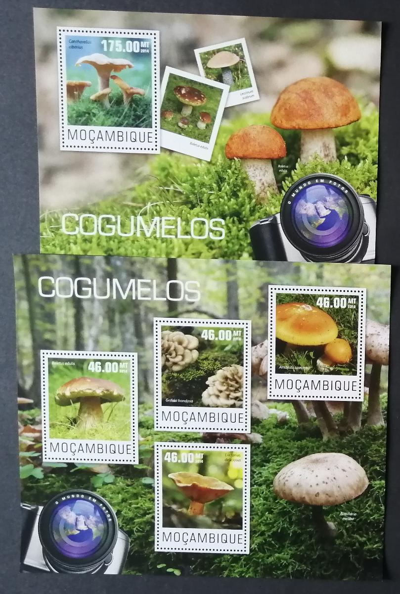 Mozambik 2014 Mi.7545-8+Bl.949 20€ Flora a houby lesů, hřiby