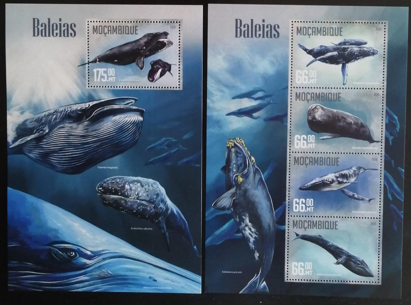 Mozambik 2016 Mi.8454-7+Bl.1131 25€ - Velryby, mořské ryby a fauna