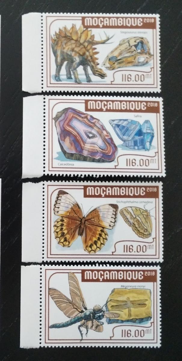 Mozambik 2018 Přírodní muzeum v Berlíně, Fosílie a fauna pravěku