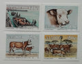 Namibie 1993 Domácí chov skotu a krav