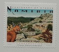 Namibie 2007 Karakal a kočky nekompl.