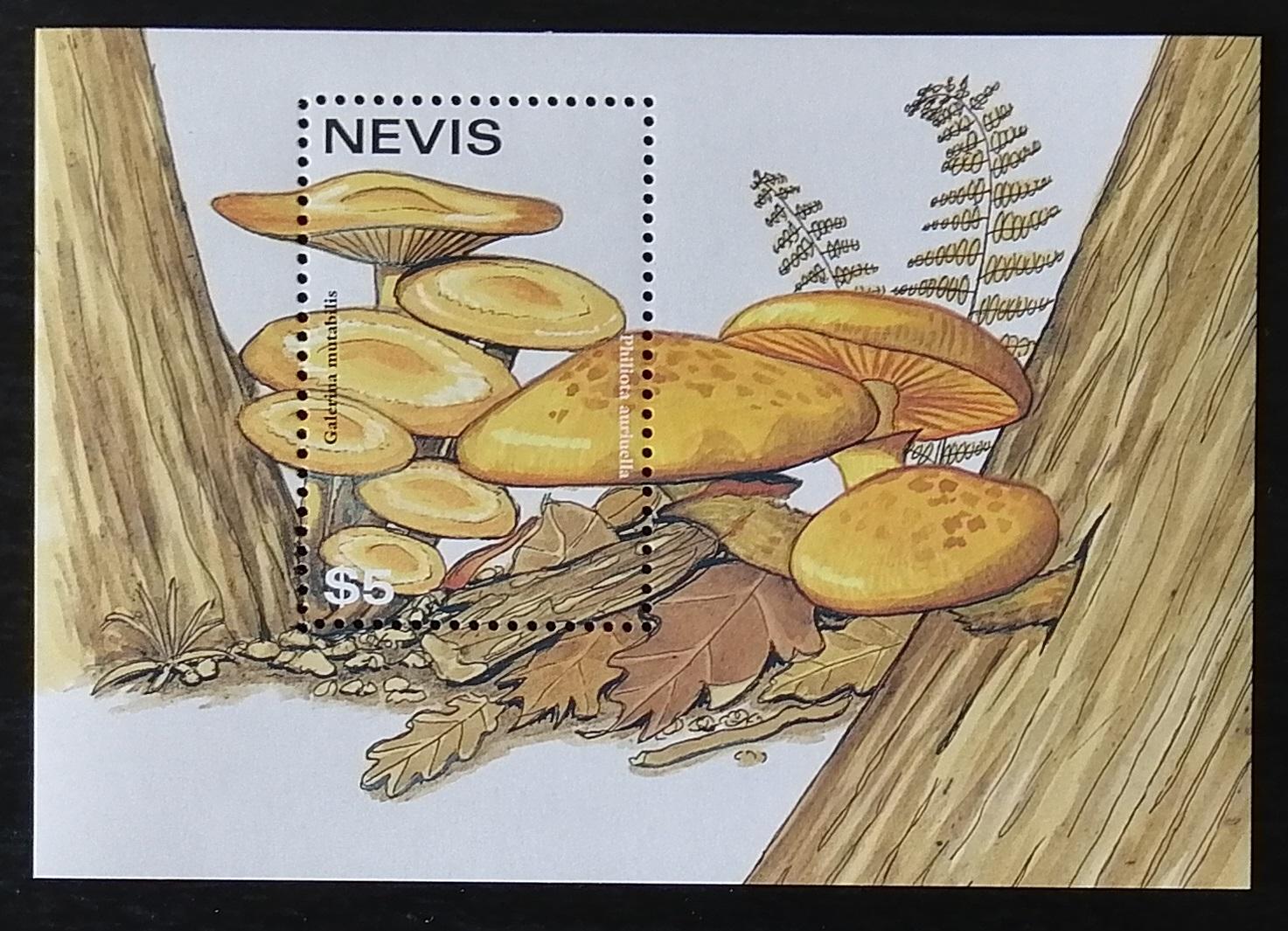 Nevis 1997 Bl.132 4,5€ Jedlé a jedovaté houby, Galerina mutabilis