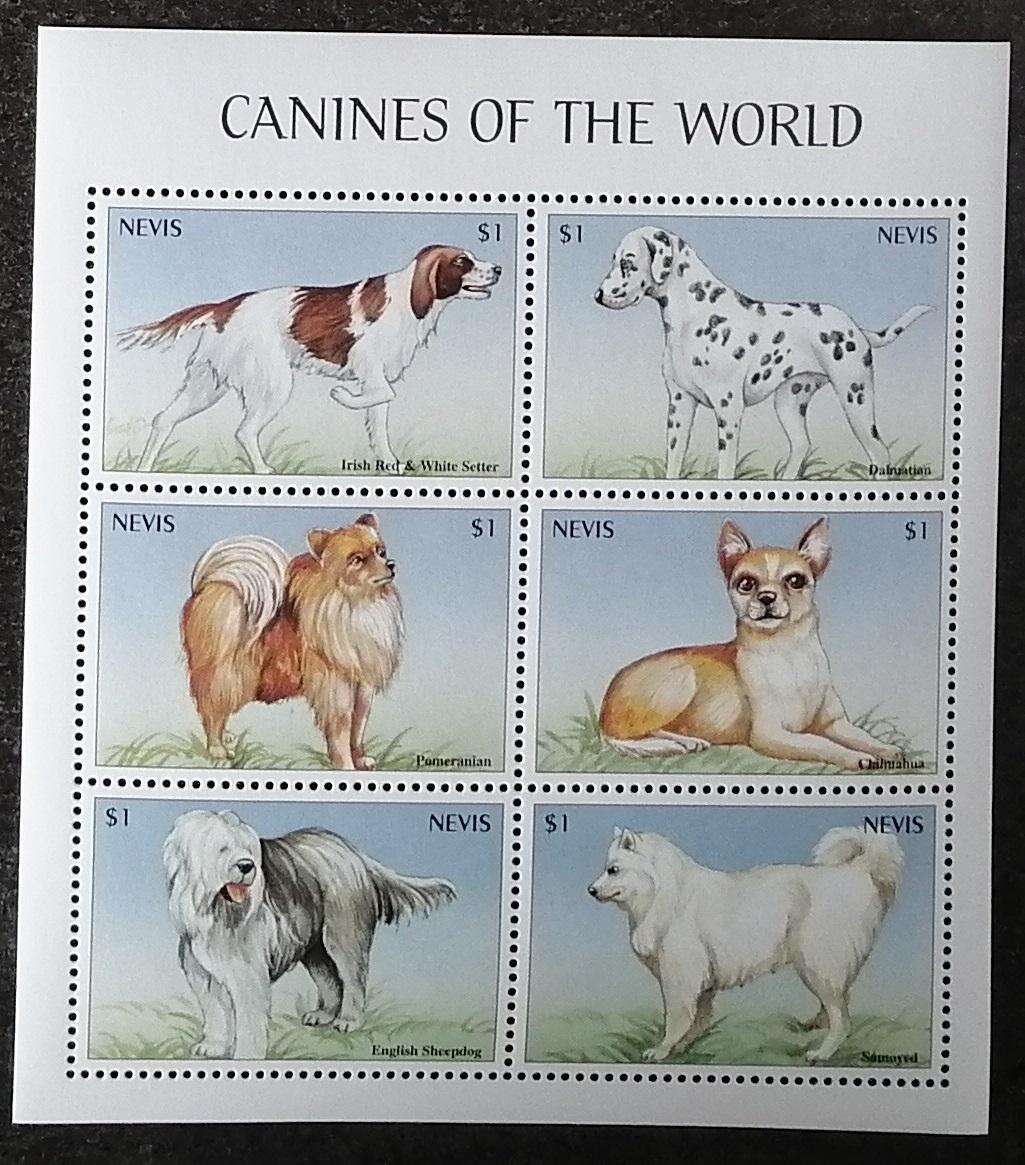 Nevis 2000 7€ Psi a jejich rasy, Samojed a teriér