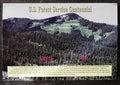 Nevis 2006 Bl.263 5,5€ Století národních lesů USA, Ochrana flory