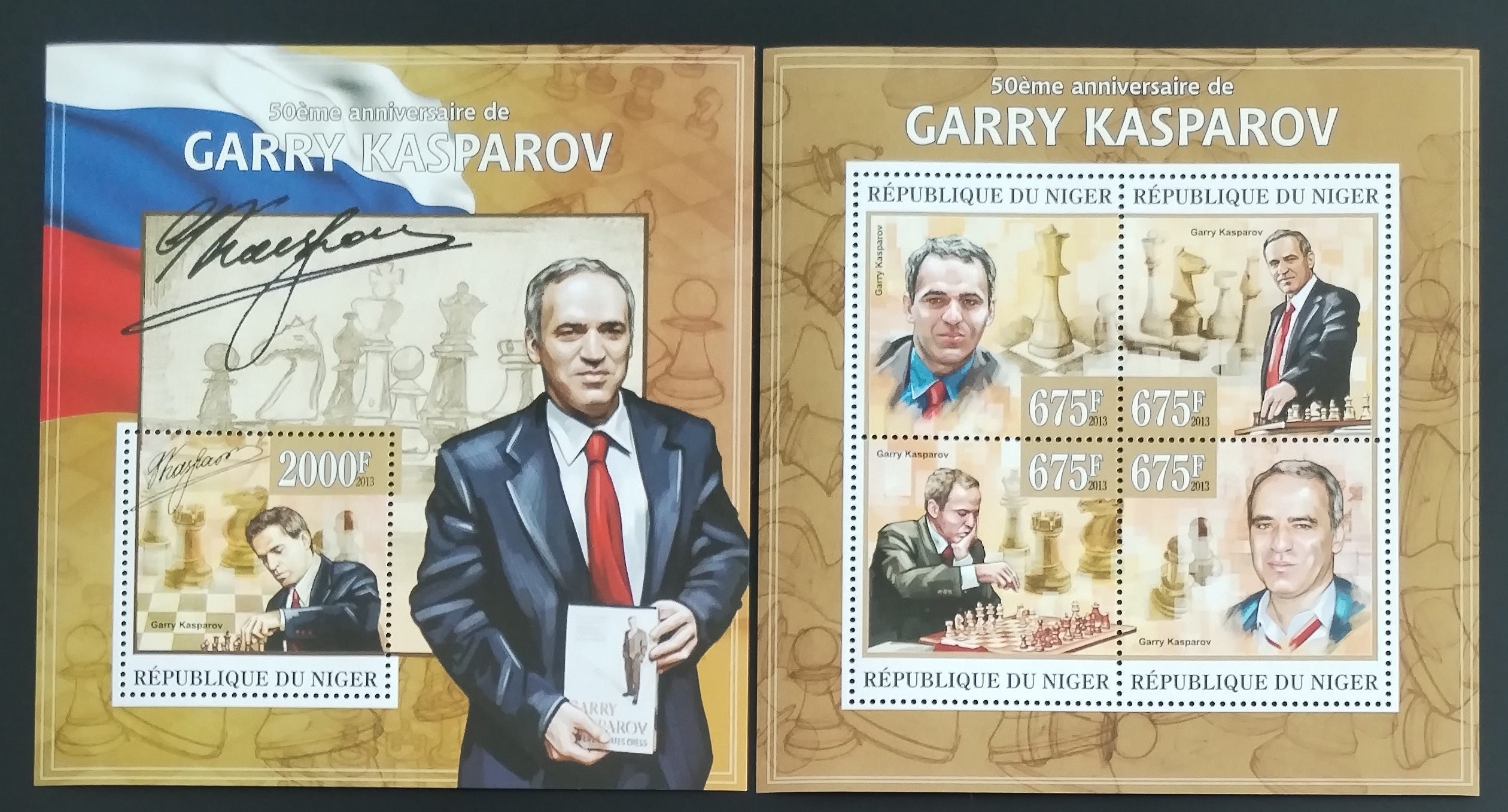 Niger 2013 Garry Kasparov a šachy