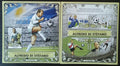Niger 2016 Mi.4017-0+Bl.508 26€ 90 let fotbalisty Stefana, sport