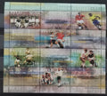Norsko 2002 Fotbalové úspěchy země, Sport