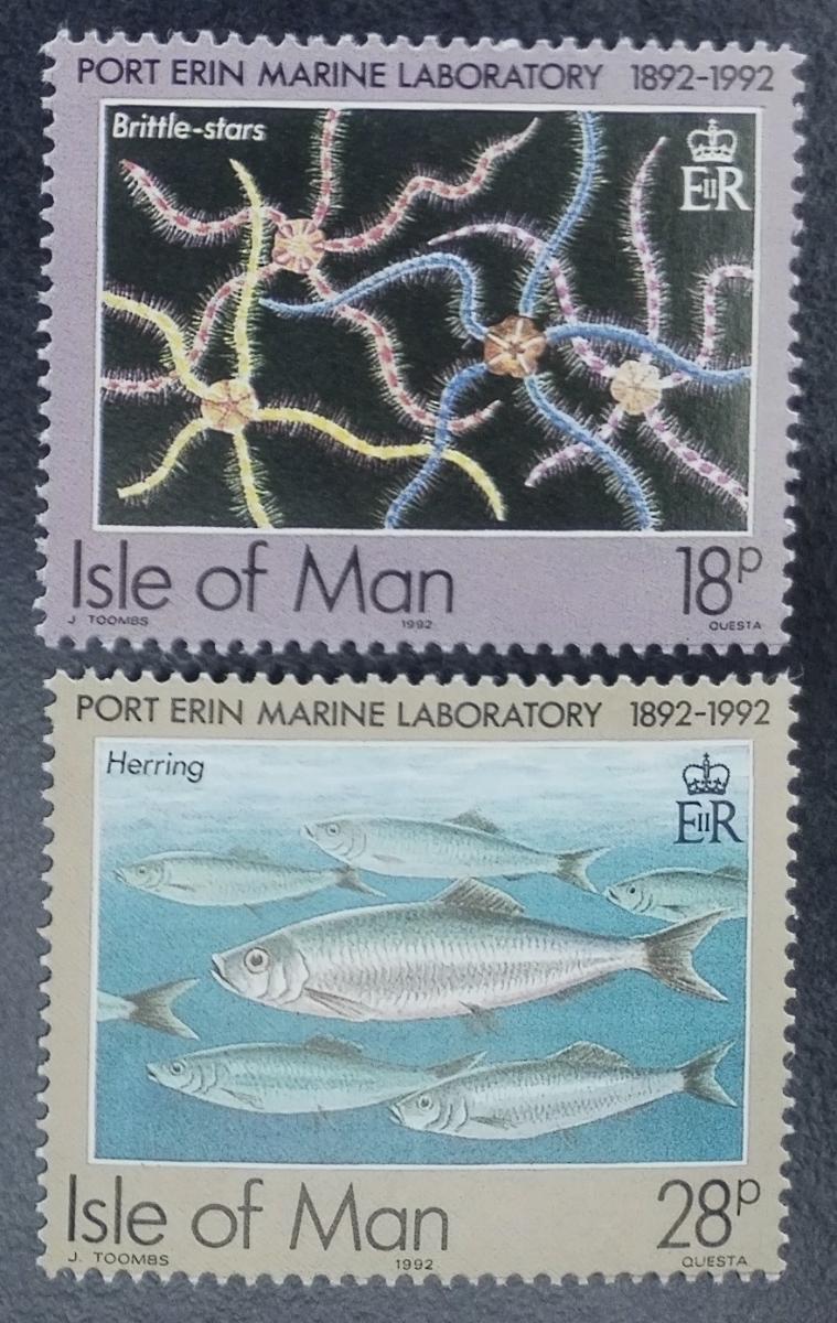 Ostrov Man 1992 2,8€ Podmořská fauna a mušle, Ryby, Škeble nekompl.