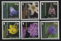 Ostrov Man 2004 Ostrovní luční flora a květiny