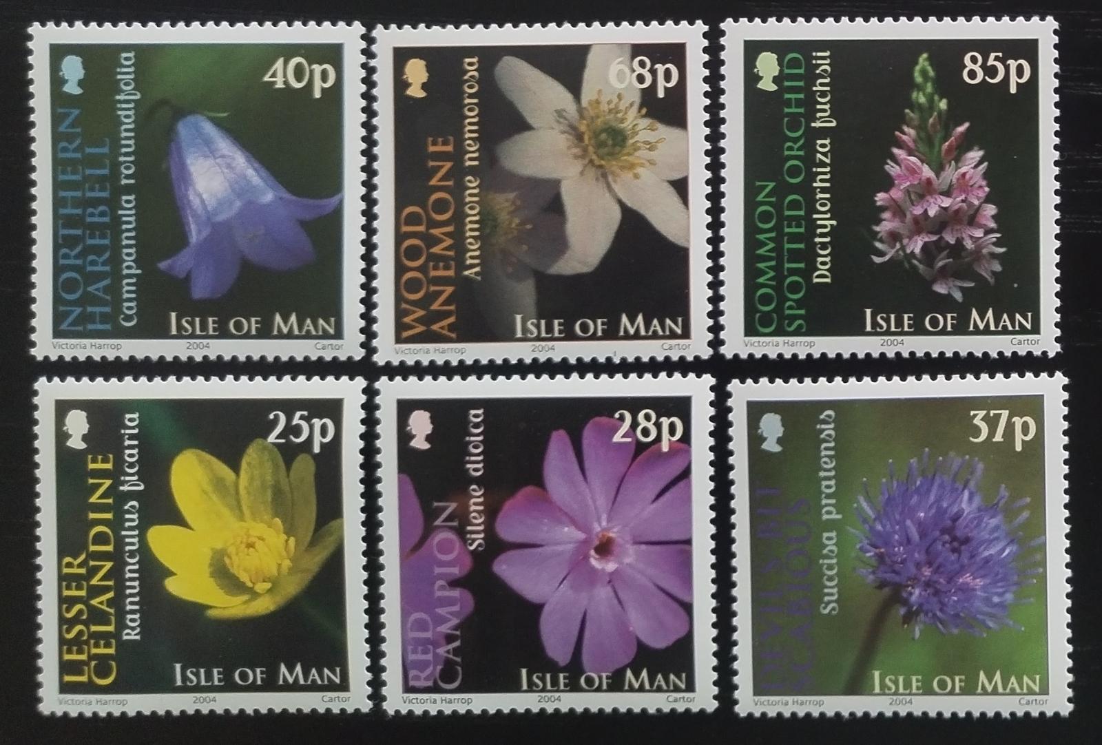 Ostrov Man 2004 Ostrovní luční flora a květiny