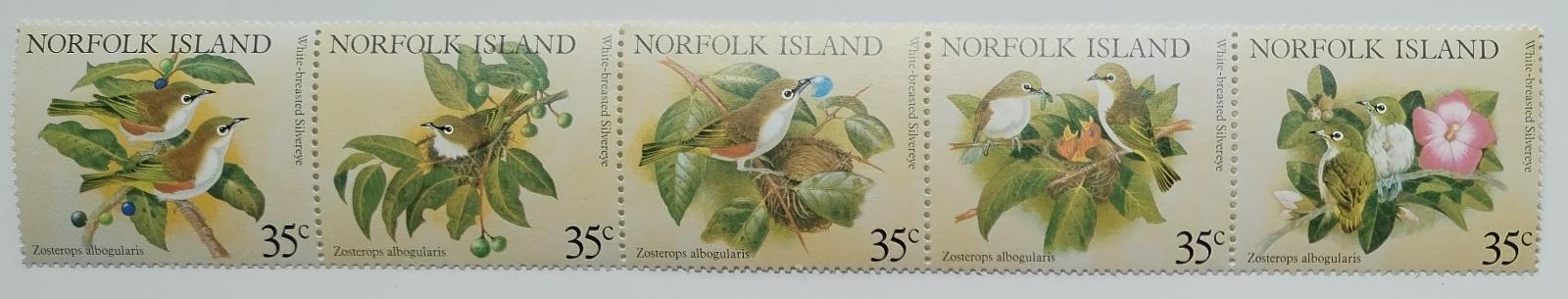 Ostrov Norfolk 1981 Ostrovní ptáci - Zosterops albogularis