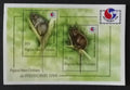 Papua Nová Guinea 1994 Bl.6 5,5€ Fauna ostrova, stromoví klokani