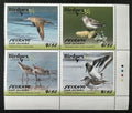 Penrhyn 2018 Výstava BIRDPEX, Ptáci Pacifiku