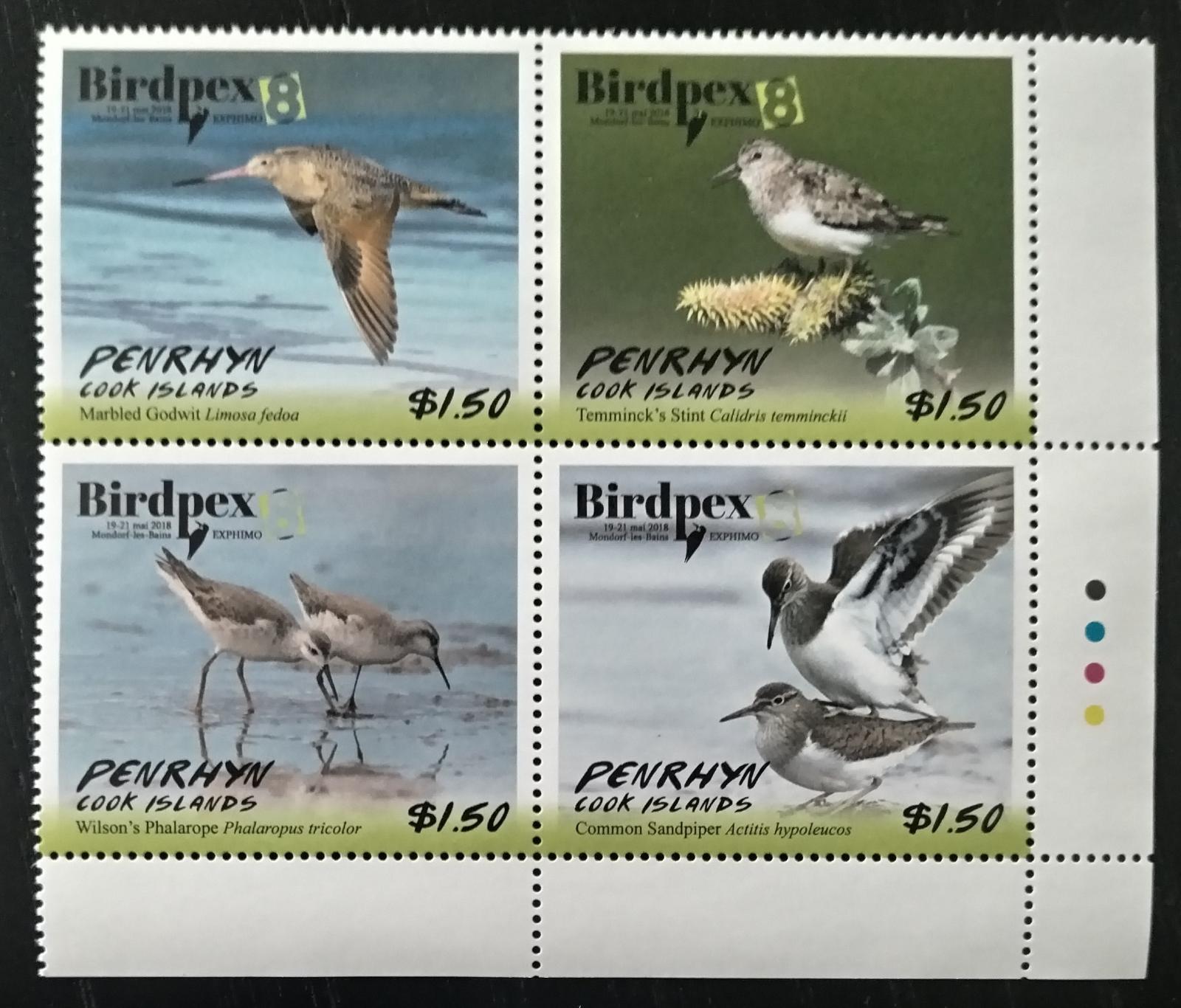 Penrhyn 2018 Výstava BIRDPEX, Ptáci Pacifiku