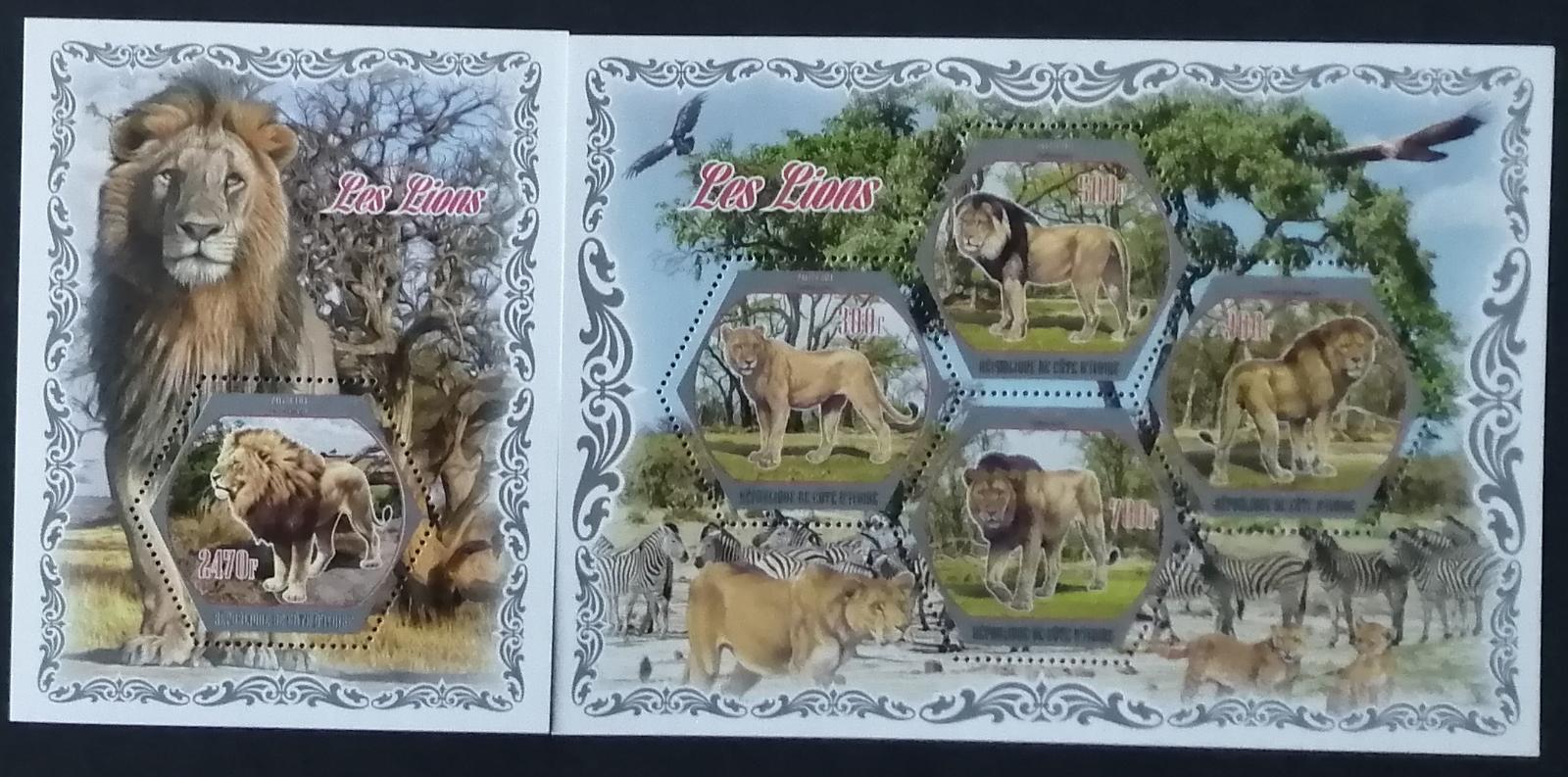 Pobřeží Slonoviny 2018 Lvi a africké velké kočky