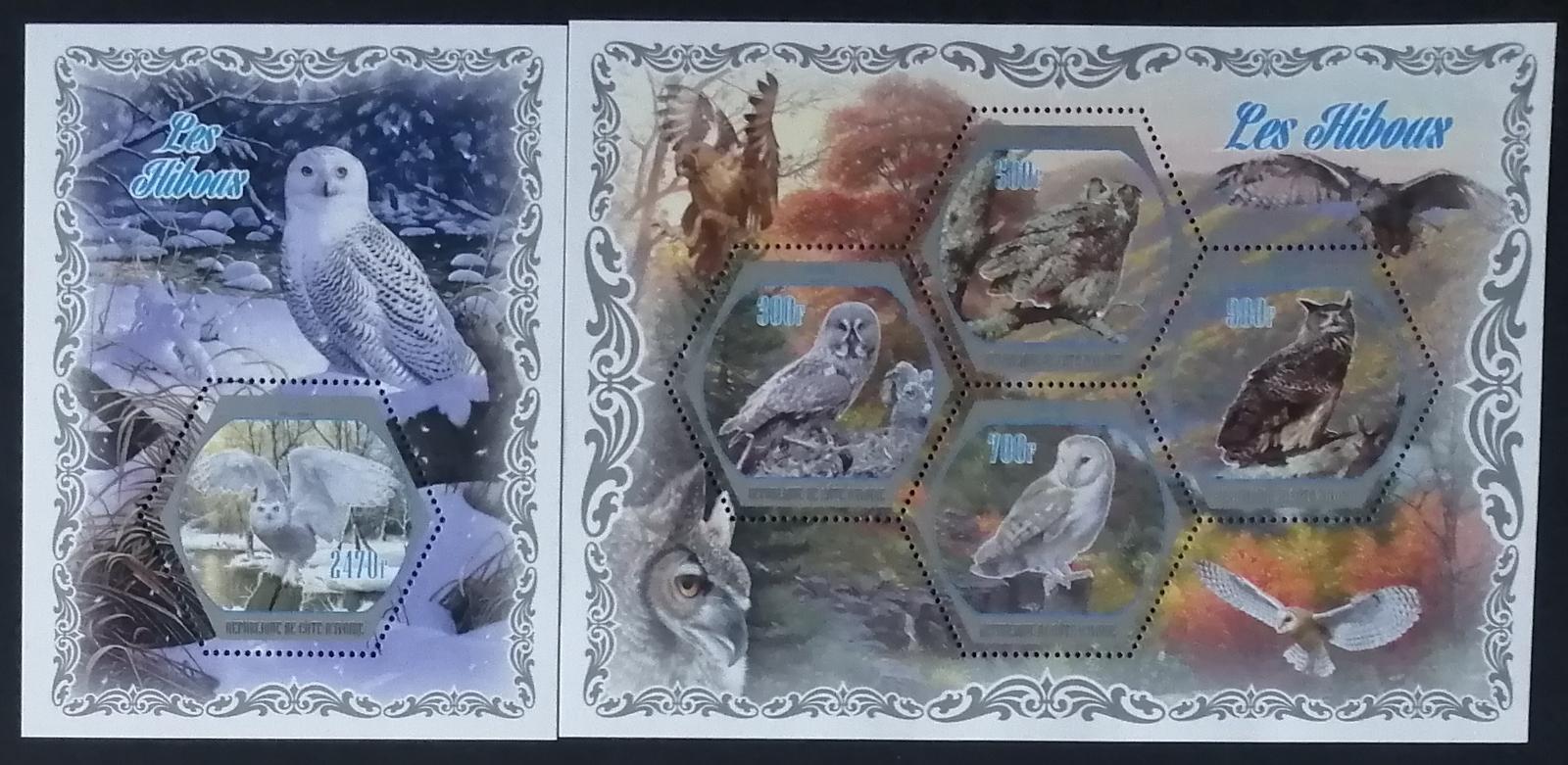 Pobřeží Slonoviny 2018 Sovy a noční draví ptáci