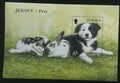 Jersey 2003 Psi, kočky a králíčci, Fauna domova