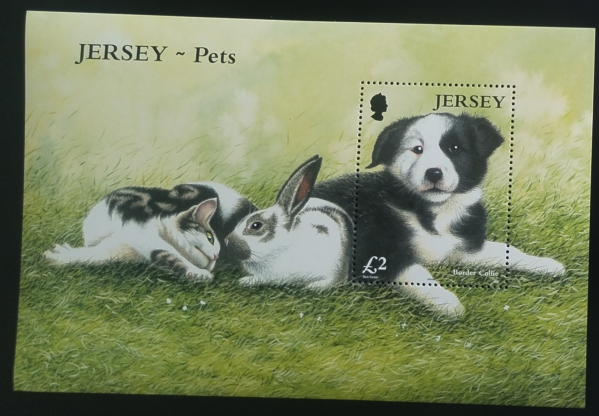 Jersey 2003 Psi, kočky a králíčci, Fauna domova