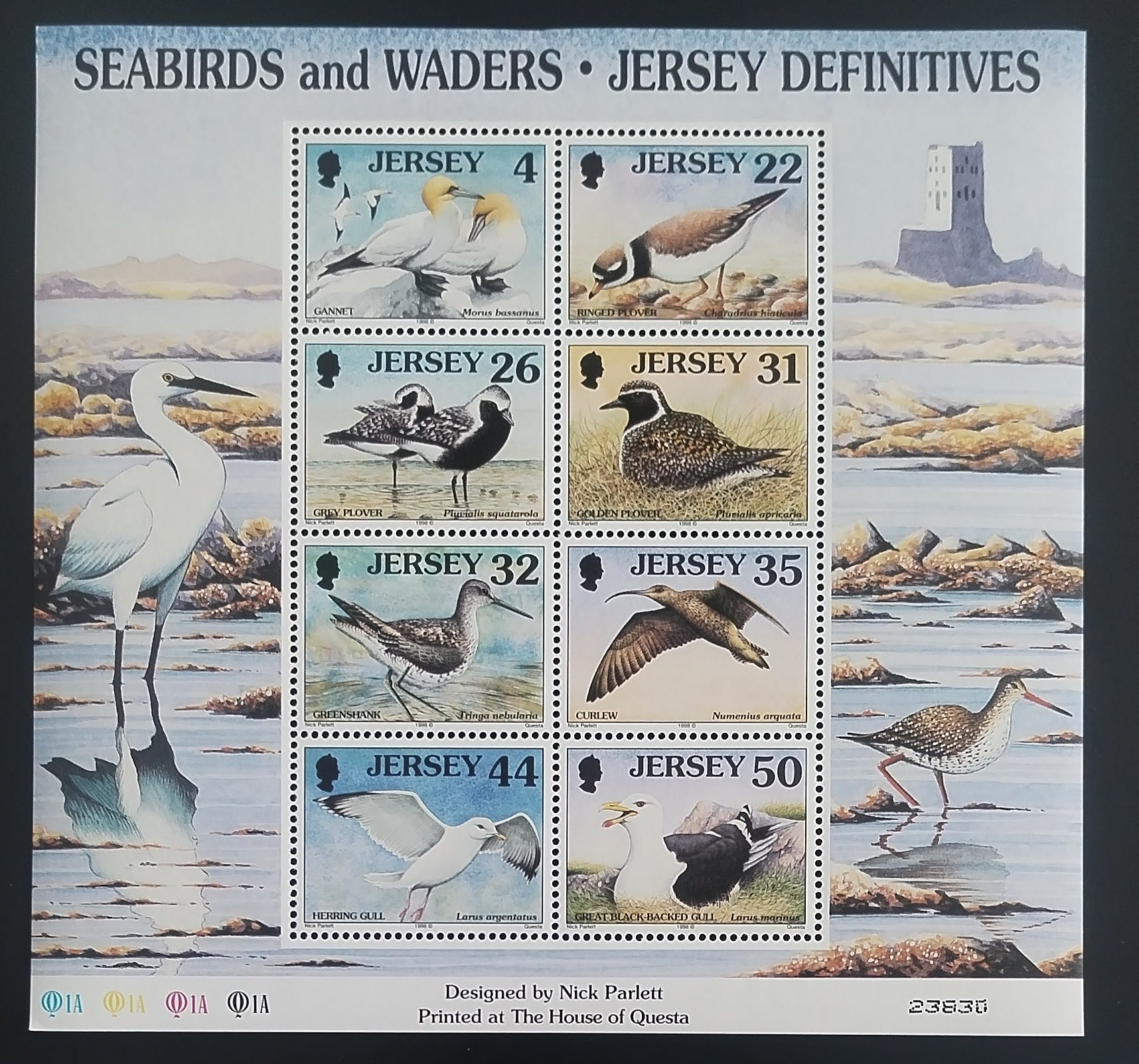 Jersey 1998 Birds in a scrapbook