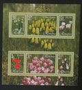 Rumunsko 2006 Bl.373 6,5€ Pěstování tulipánů, květiny a flora