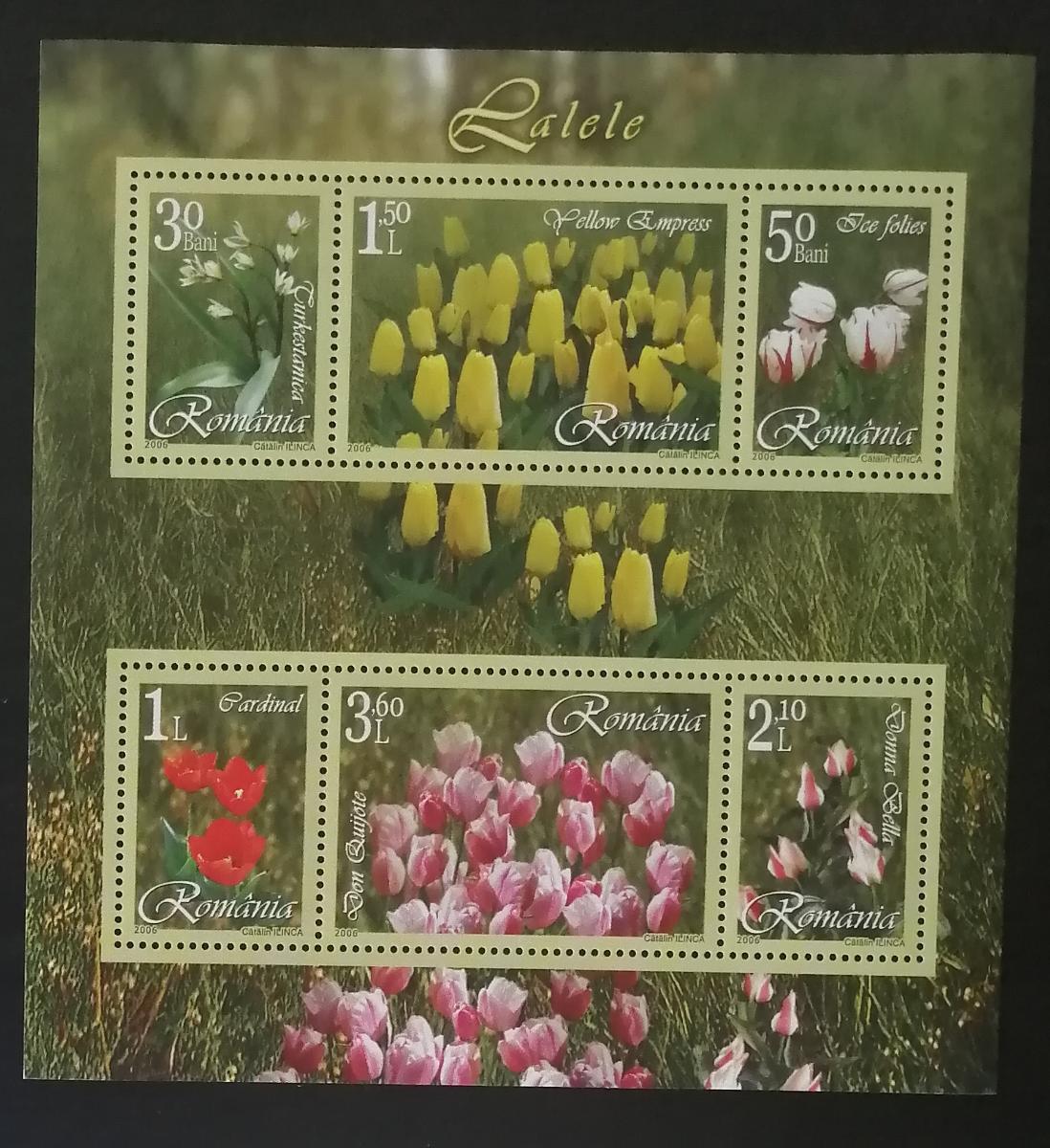 Rumunsko 2006 Bl.373 6,5€ Pěstování tulipánů, květiny a flora